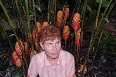 0212 Cairns Botanic Gardens